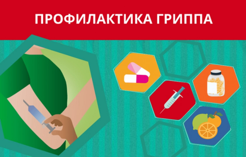Профилактика гриппа Профилактика гриппа.